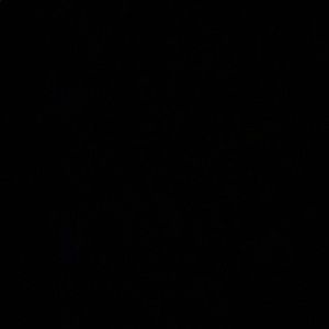 Meet your Posher, Elijah